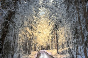 Winter road